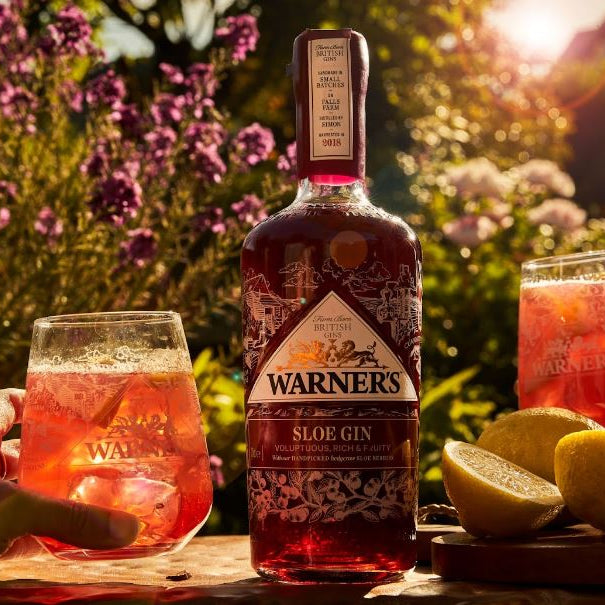 Best Flavoured Gins for 2022