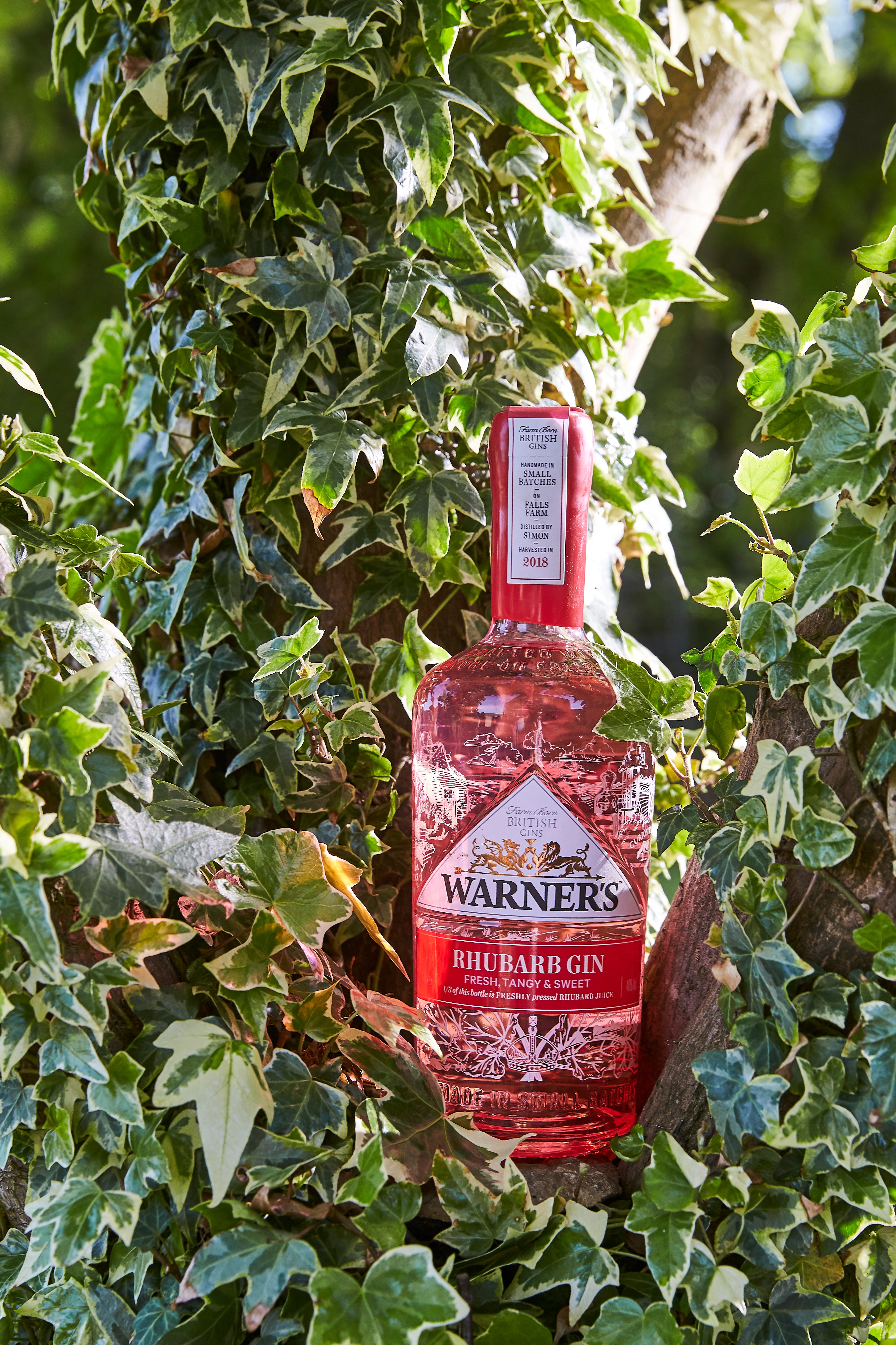 Warner's Rhubarb Gin - Outdoor 1